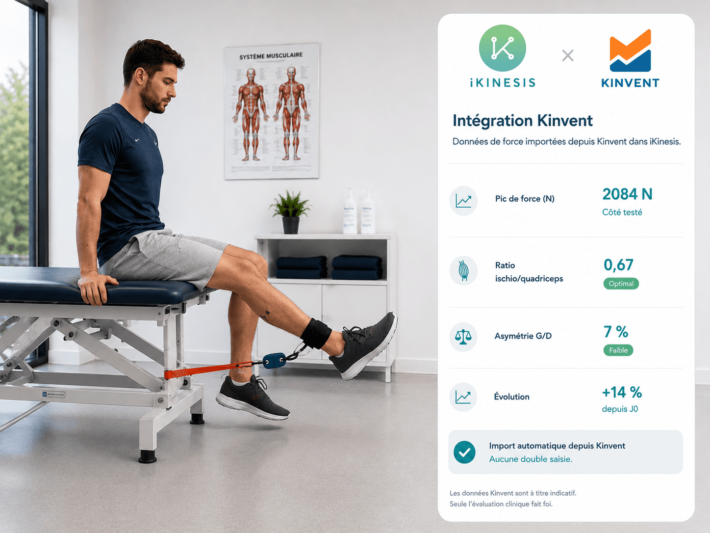 Ratio ischio-jambiers / quadriceps : repères de lecture